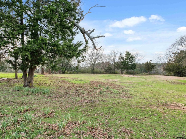 view of yard featuring a rural view