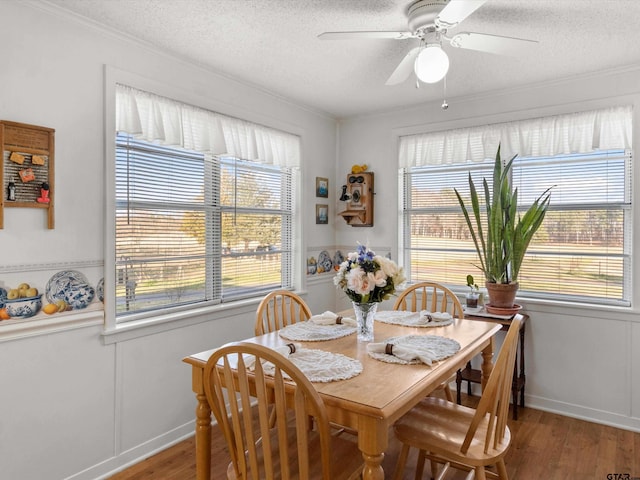 dining space with hardwood / wood-style flooring, ceiling fan, crown molding, and a textured ceiling