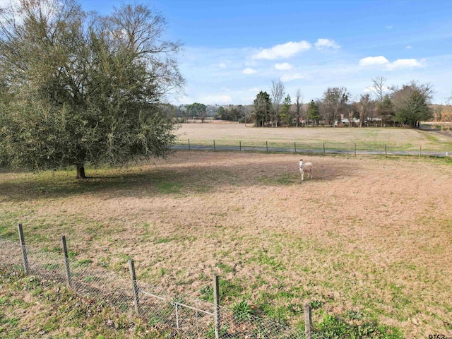 view of yard with a rural view