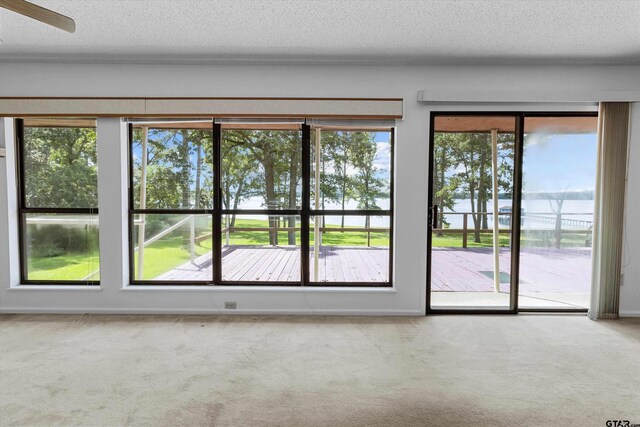 doorway with carpet floors and a textured ceiling