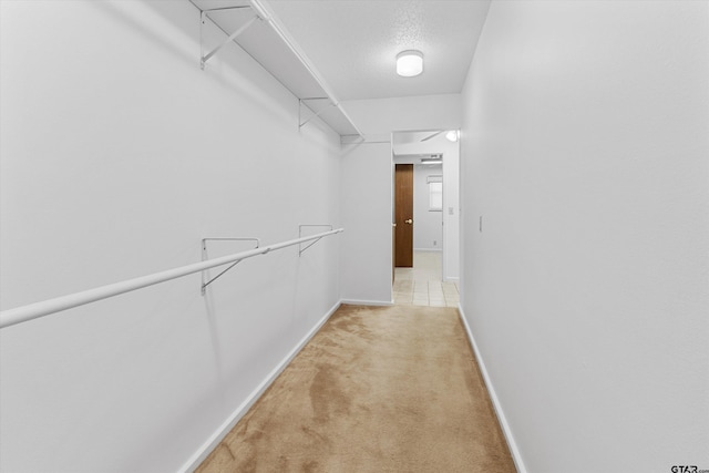 walk in closet with light colored carpet