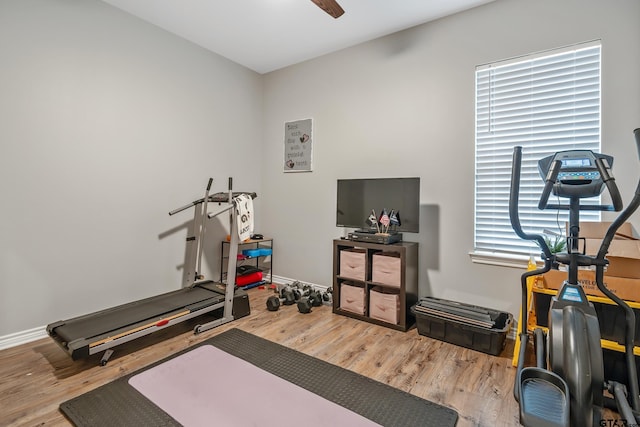 exercise area with light wood finished floors, ceiling fan, and baseboards