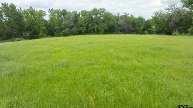 16200 State Highway 19, Palestine, TX 75803 - photo 16