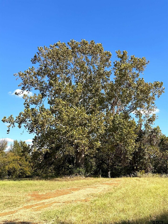 16200 State Highway 19, Palestine, TX 75803 - photo 19