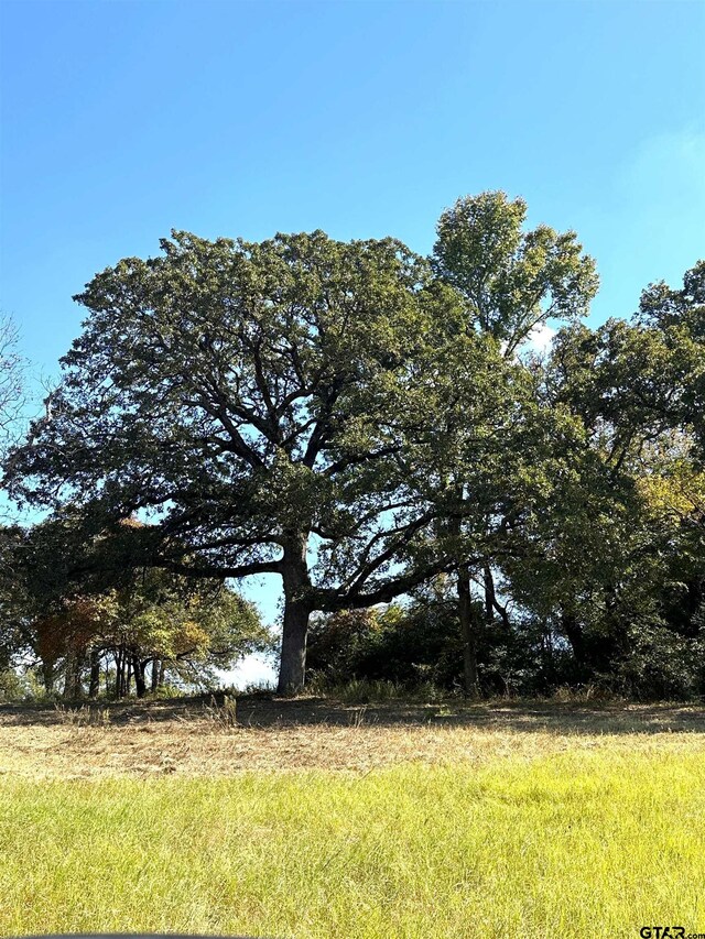 16200 State Highway 19, Palestine, TX 75803 - photo 18