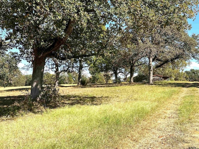 16200 State Highway 19, Palestine, TX 75803 - photo 1