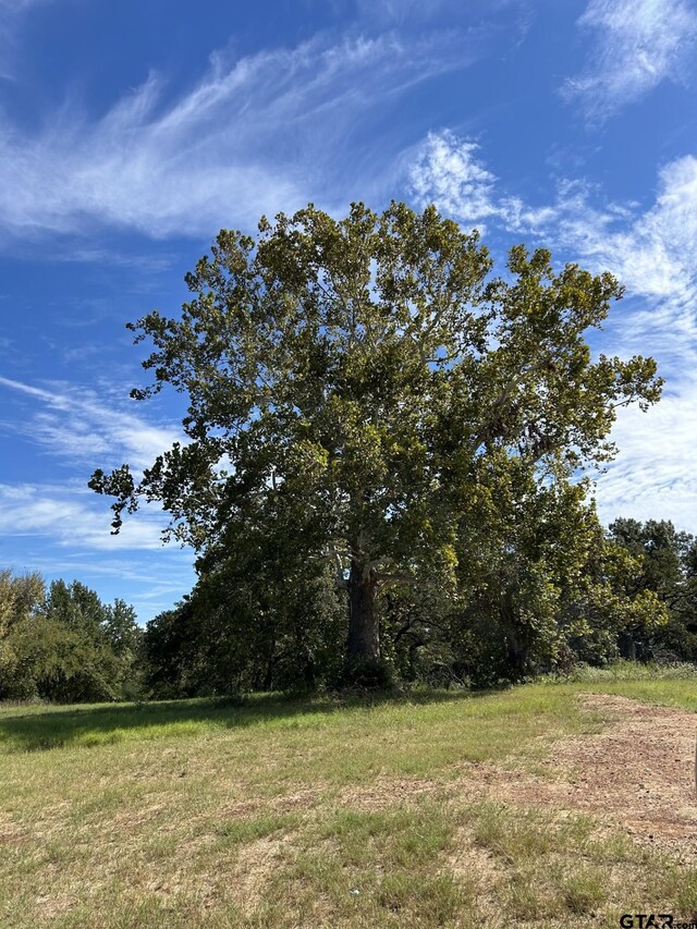 16200 State Highway 19, Palestine, TX 75803 - photo 17