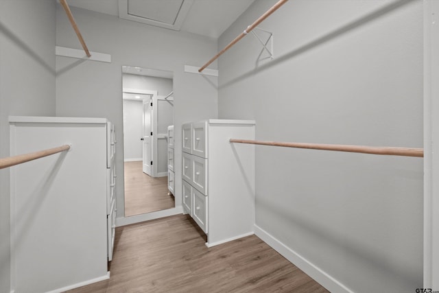 spacious closet featuring light hardwood / wood-style flooring