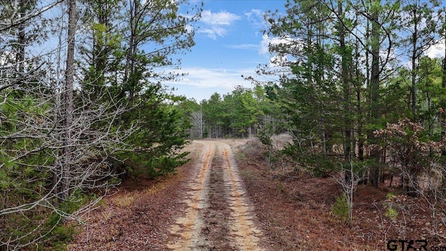 TBD Alley Road, Troup TX, 75789 land for sale