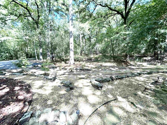 165 Sunny Gln, Holly Lake Ranch, TX 75765 - photo 30