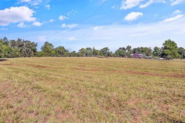 view of yard with a rural view