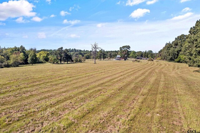 view of yard with a rural view