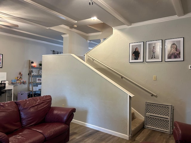 living room with dark hardwood / wood-style flooring and ornamental molding