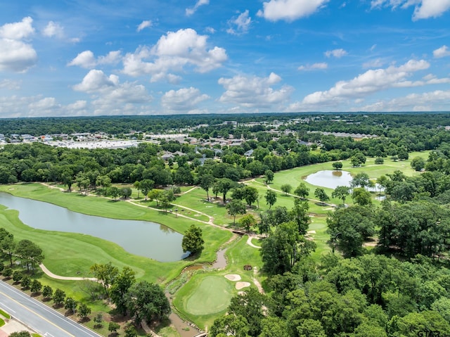 7022 Walden Dr, Tyler, TX 75703 - drone / aerial view of a large body of water