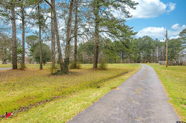 209 Corrine St, Waskom, TX 75692 - photo 36