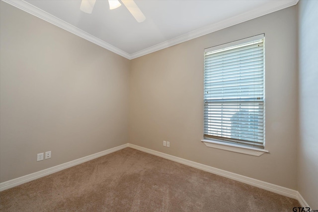 empty room featuring ceiling fan, ornamental molding, and carpet flooring