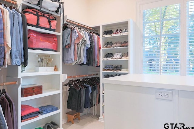 view of walk in closet