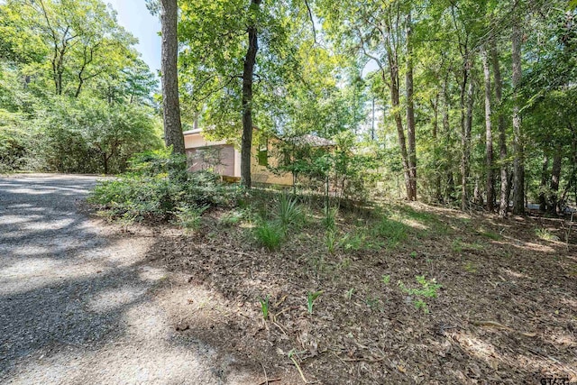 369 Calm Water Ln, Holly Lake Ranch, TX 75765 - photo 33