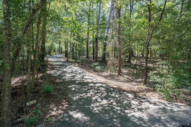 369 Calm Water Ln, Holly Lake Ranch, TX 75765 - photo 8