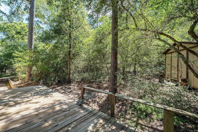 369 Calm Water Ln, Holly Lake Ranch, TX 75765 - photo 32