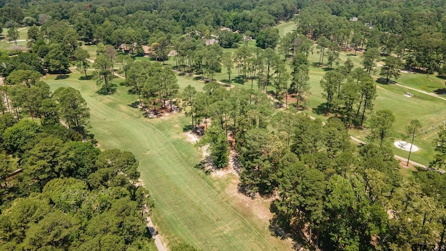 369 Calm Water Ln, Holly Lake Ranch, TX 75765 - photo 38
