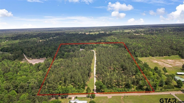 aerial view with a wooded view