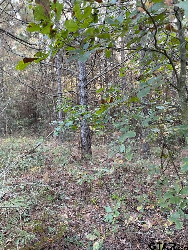 TBD(Lot55) County Road 1060, Center, TX 75935 - photo 5