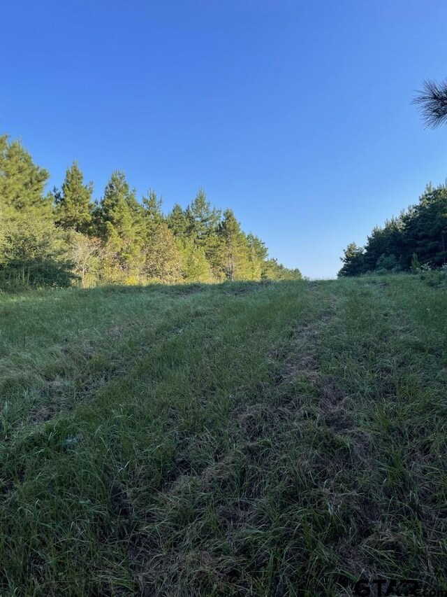 TBD(Lot55) County Road 1060, Center, TX 75935 - photo 7