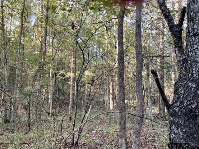 TBD(Lot55) County Road 1060, Center, TX 75935 - photo 16