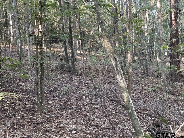 TBD(Lot55) County Road 1060, Center, TX 75935 - photo 21