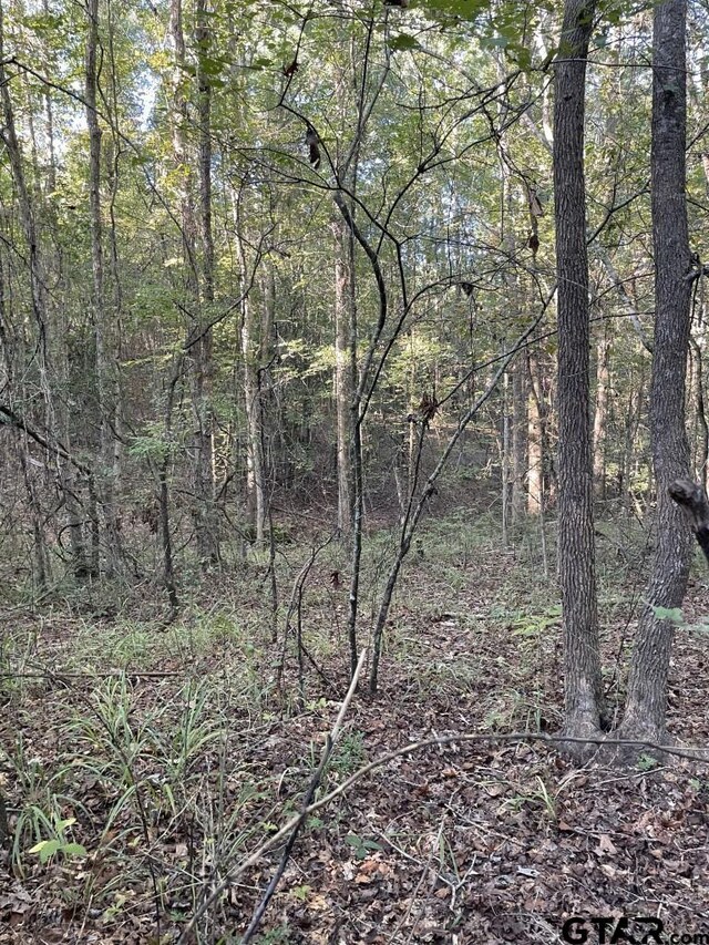 TBD(Lot55) County Road 1060, Center, TX 75935 - photo 14