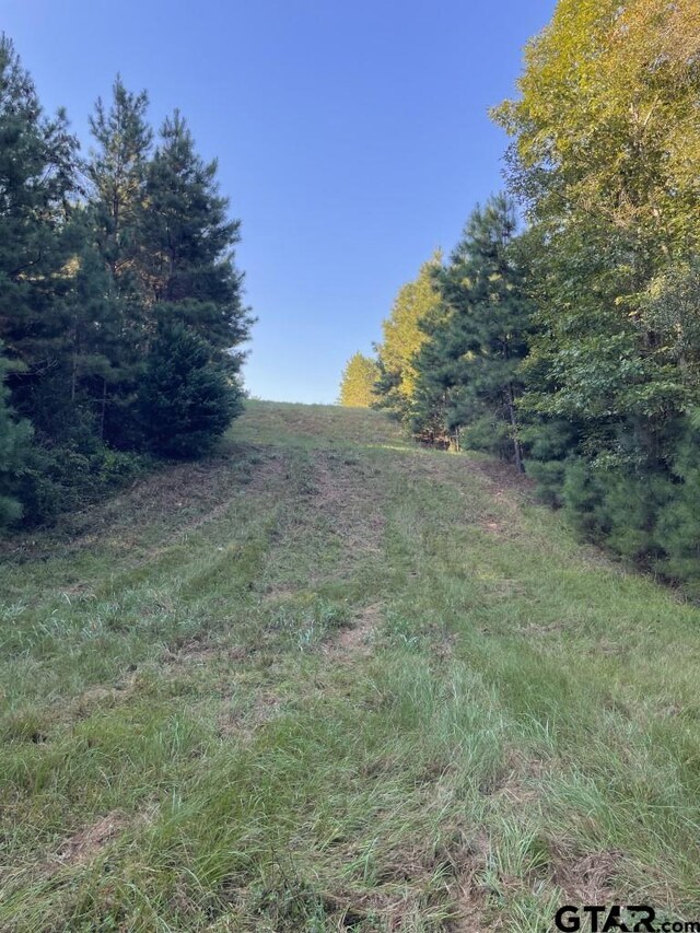 TBD(Lot55) County Road 1060, Center, TX 75935 - photo 12