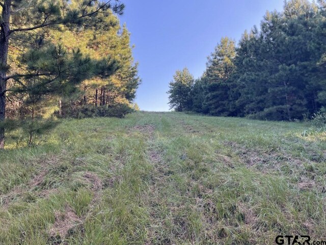 TBD(Lot55) County Road 1060, Center, TX 75935 - photo 11