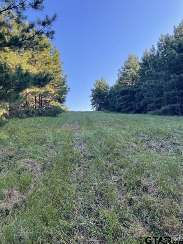 TBD(Lot55) County Road 1060, Center, TX 75935 - photo 10
