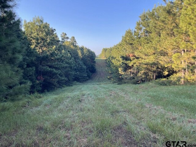 TBD(Lot55) County Road 1060, Center, TX 75935 - photo 4