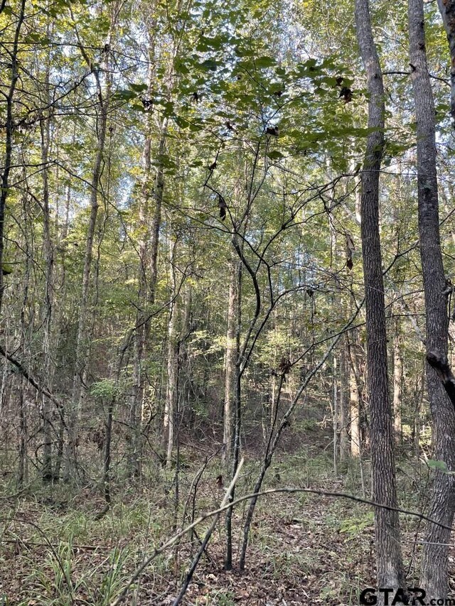 TBD(Lot55) County Road 1060, Center, TX 75935 - photo 15