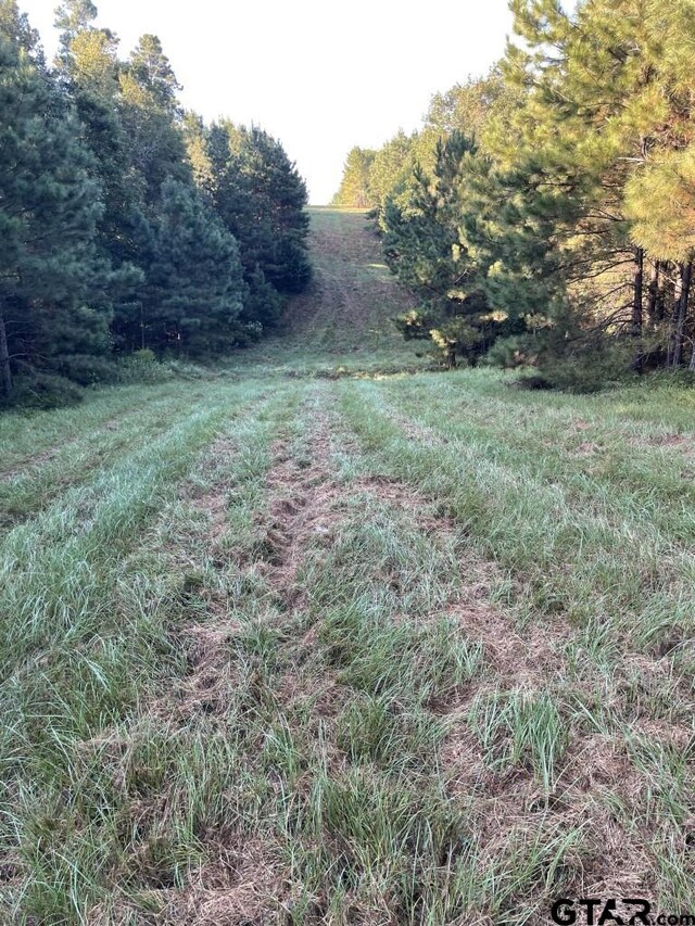 TBD(Lot55) County Road 1060, Center, TX 75935 - photo 8