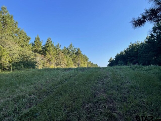 TBD(Lot55) County Road 1060, Center, TX 75935 - photo 6