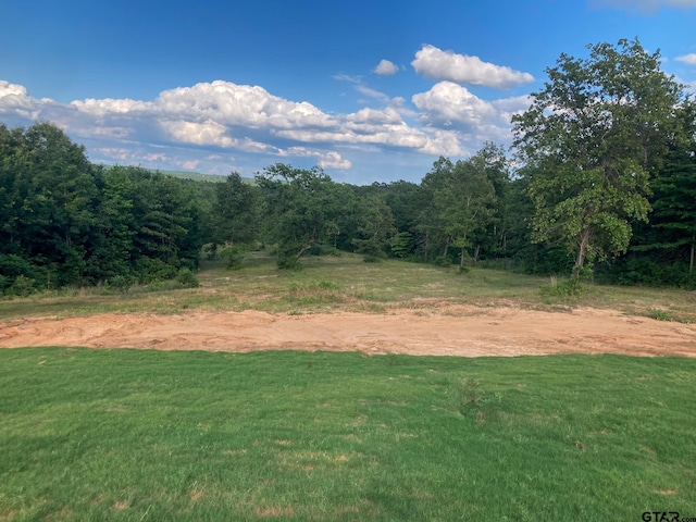 7449 Crk 314, Henderson, TX 75652 - view of grassy yard featuring a wooded view