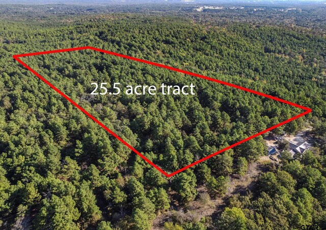 0 Fm 3079, Brownsboro, TX 75756 - photo 3