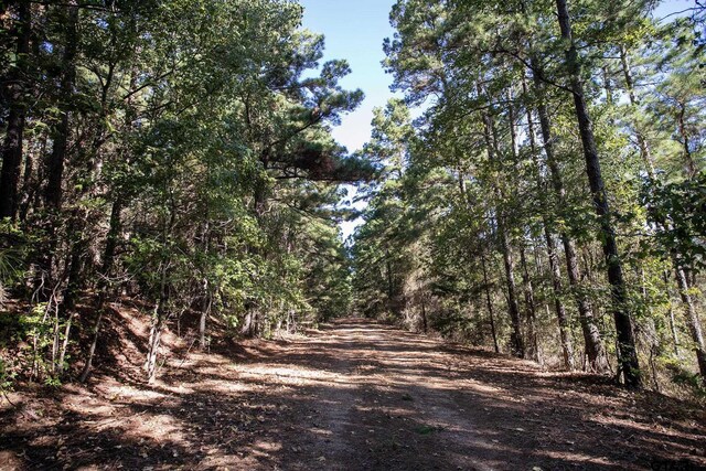 0 Fm 3079, Brownsboro, TX 75756 - photo 12