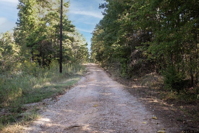 0 Fm 3079, Brownsboro, TX 75756 - photo 11