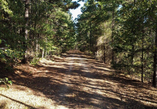 0 Fm 3079, Brownsboro, TX 75756 - photo 9