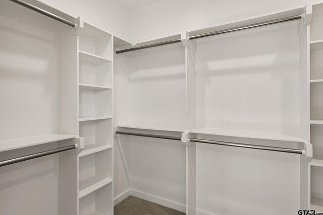 walk in closet featuring carpet flooring