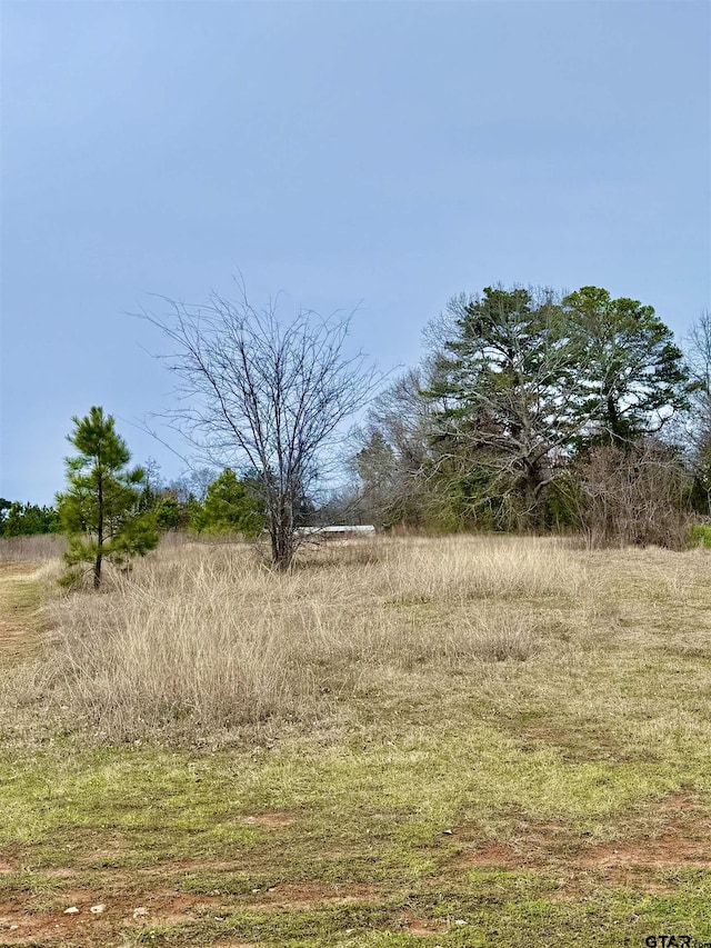 433 Palo Duro Ln, Bullard TX, 75757 land for sale