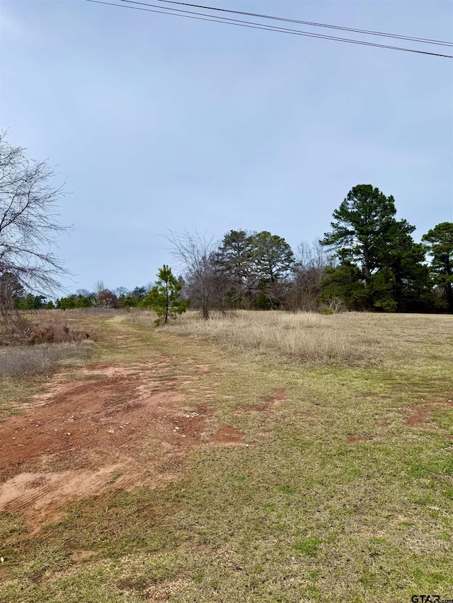 Listing photo 3 for 433 Palo Duro Ln, Bullard TX 75757