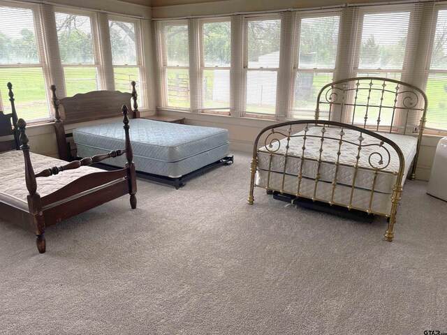 205 N Sixth St, Mexia, TX 76667 - view of carpeted bedroom