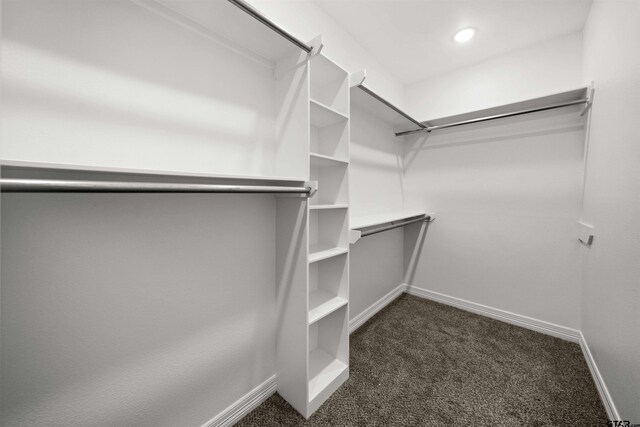 12908 County Road 463, Tyler, TX 75709 - walk in closet with dark carpet