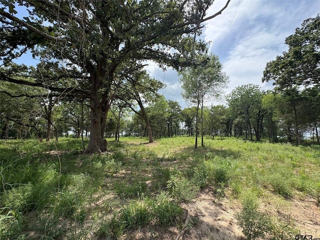 579 County Road 1843, Yantis, TX 75497 - photo 11