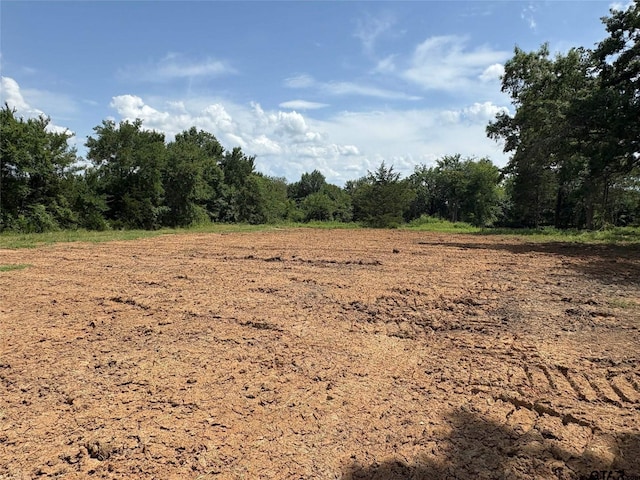 579 County Road 1843, Yantis, TX 75497 - photo 4